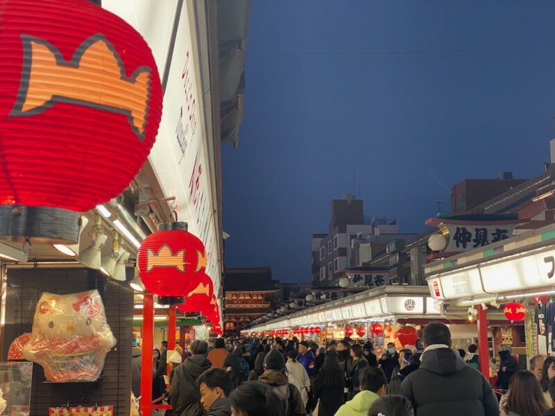 Tokyo, Japan. Image © PlanetSKI